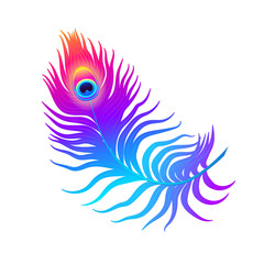 Obraz premium Peacock feather