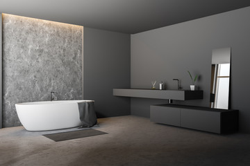 Fototapeta premium Gray bathroom corner, tub and sink