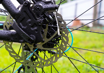 Bicycle brake disc on green grass background.