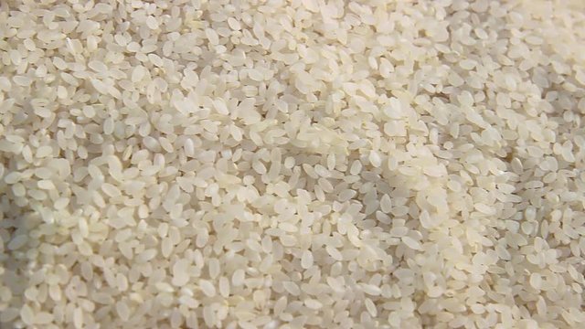 white rice on market