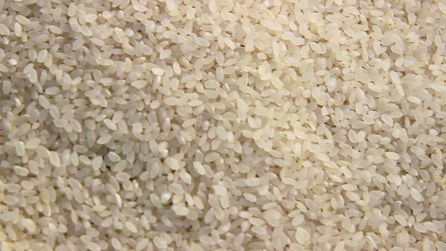 close up shot of the rice background