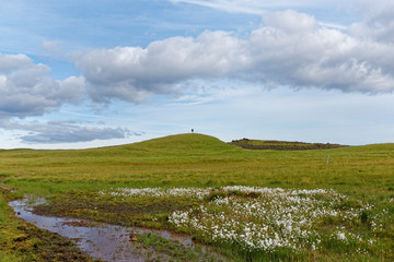 Landschaft entlang der F214, Island