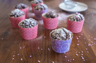 Schokoladenmuffins dekoriert mit Puderzucker