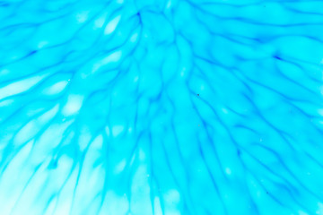 Closeup abstract color mixing of acrylic for use as background. Acrylic texture with marble pattern, marbling background 