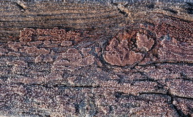 Rime on wooden board texture winter nature