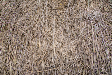  Straw feed for animals background and texture.