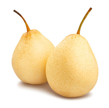 nashi pear