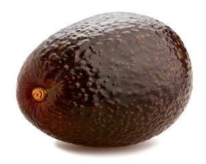 hass avocado