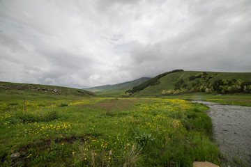 Green field and mountain, small river and yellow flowers.