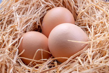 Tasty eggs in a straw bedding. Fresh ingredients for homemade pastries.