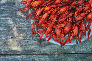 Crawfish cooked and served on wooden background