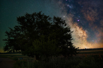 Beautiful tree and milky way galaxy. Night landscape.