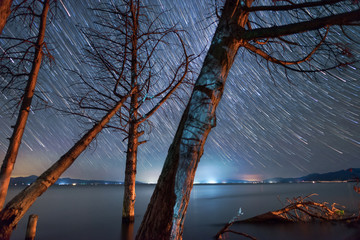 Night landscape , beautiful trees and lake on the star trails sky.