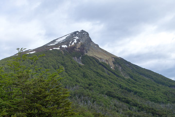Fototapeta premium Guanaco mount view, Tierra Del Fuego National Park, Argentina