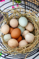 Basket of varied colored eggs from a variety of hens