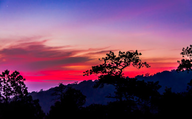 sunset  and silhouette tree with mountain.