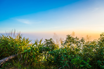 meadow on the mountain in morning.