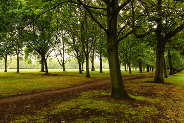 Fototapeta premium Alley in park. Summer time