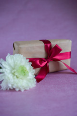gift box tied with red ribbon, white chrysanthemum are on a pink background