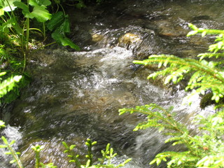 Горная речка