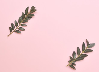 Green branches on light pink background.