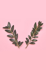 Green branches on light pink background.
