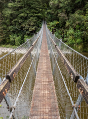 suspension bridge in the forest