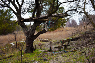  bench in the woods
