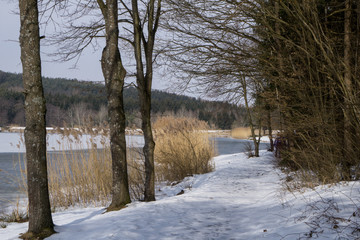 Path along the lake's edge
