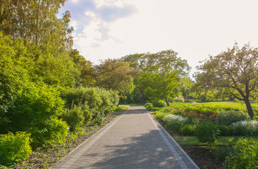 Spring landscape. Scenic view of green trees and meadows in a park in sunlight.