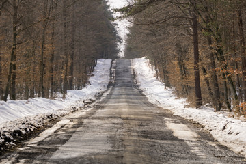 Road cutting through a seasonal forest in winter