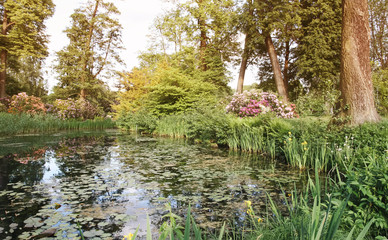 Spring landscape. Scenic view of a pond in a park in sunlight.