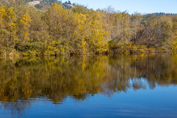 reflection of autumn trees in lake