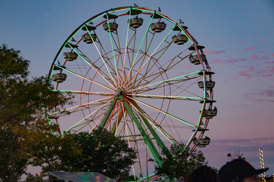 ferris wheel in park