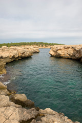 The coast in the bassa cove of San Antonio, Ibiza
