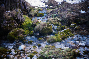 Spring with moss