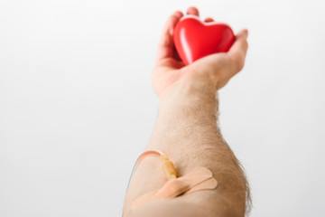 Partial view of blood donor with catheter and plasters holding toy heart, blood donation concept