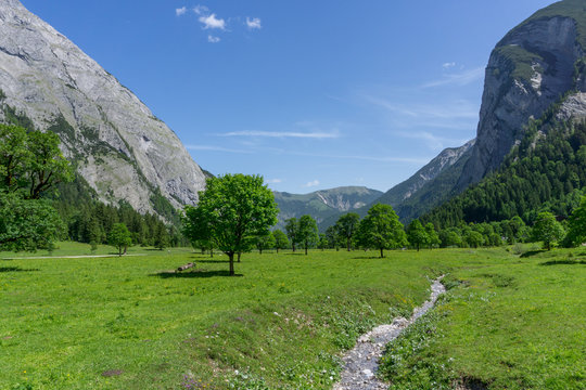 A small stream flowing through a beautiful valley