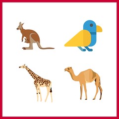 4 wildlife icon. Vector illustration wildlife set. kangaroo and giraffe icons for wildlife works