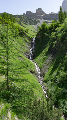 Fototapeta na wymiar Pure mountain stream cascading downhill