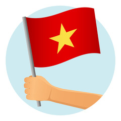 Vietnam flag in hand