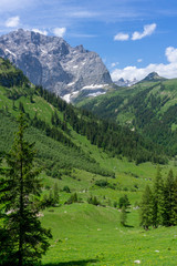 Fototapeta na wymiar Vertical shot of beautiful alpine landscape
