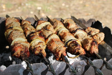 meat, barbecue, food, grill, grilled, pork, cooking, kebab, beef, meal, roast, dinner, skewer, fire, picnic, steak, shashlik, chicken, bbq, coal, heat, roasted, summer, lunch, outdoors