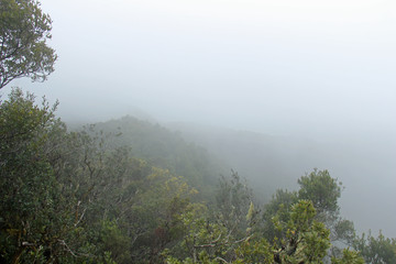 Obraz na płótnie Canvas Nebel Tenriffa Berge im Norden