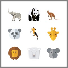 9 zoo icon. Vector illustration zoo set. lion and elephant icons for zoo works
