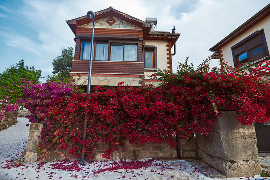 Mediterranean old hystorical city views Side Turkey blooming begonville