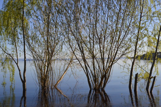 Reflejo en el lago ranco