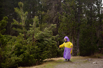 Obraz premium Cute little boy walks in Swiss national Park in rainy day. Hiking with little kids.