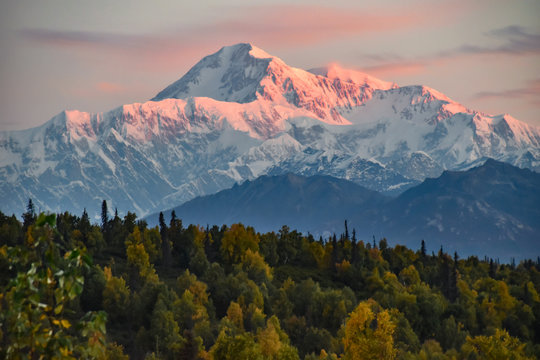 Mt. Denali