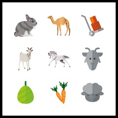 9 farm icon. Vector illustration farm set. sheep and goat icons for farm works